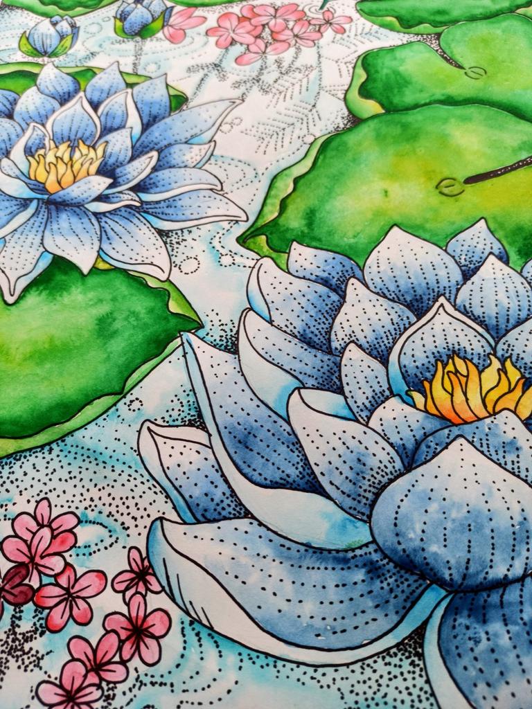 Water Color Lotus